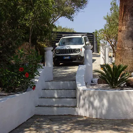 Tuna 토레 델레 스텔레